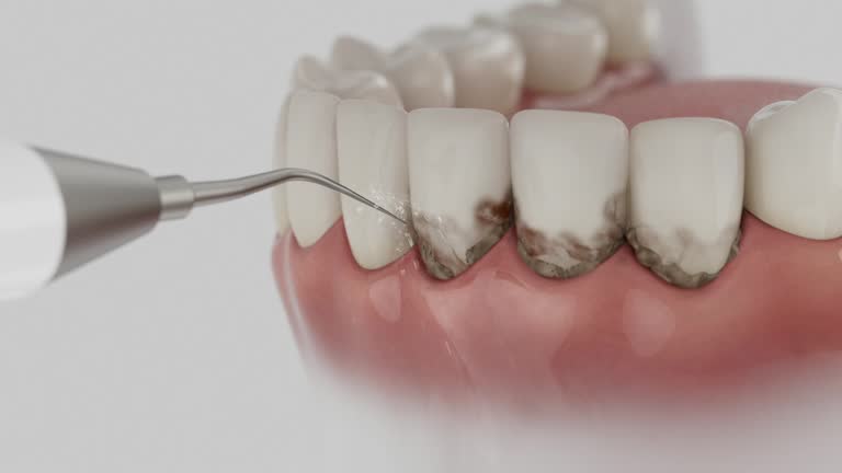 Reliable Dental contractor in Rochester, MI by Dentist Open Now